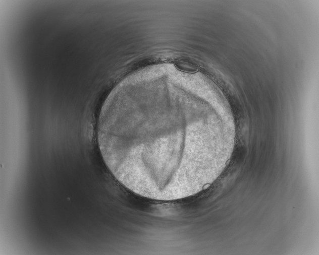 X0000100930417200807221141