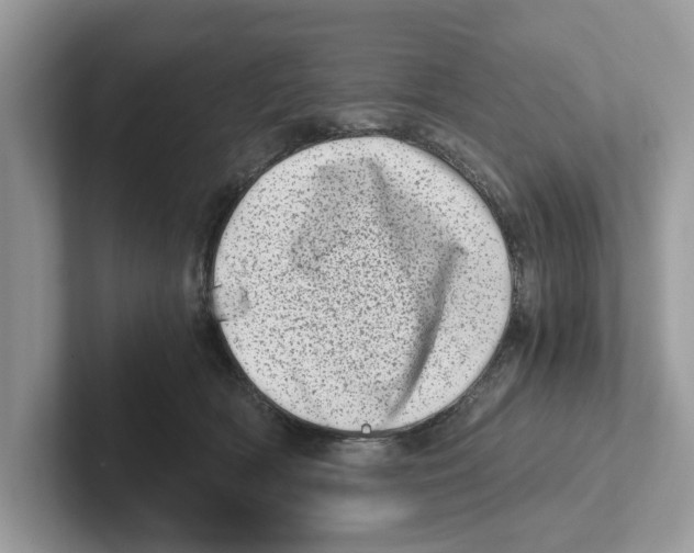 X0000100930418200807221141