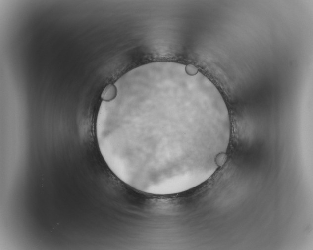 X0000100930419200807221141