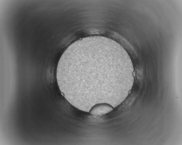 X0000100930422200807221141