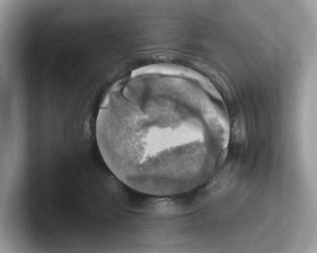 X0000100930424200807221141