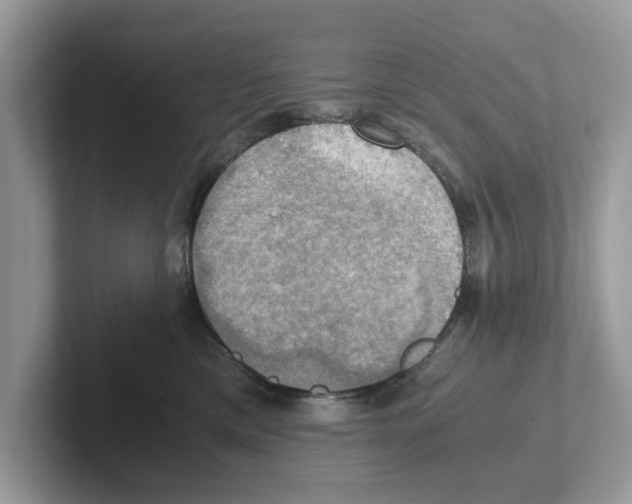 X0000100930425200807221141