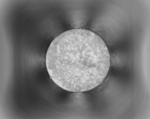 X0000100930427200807221141