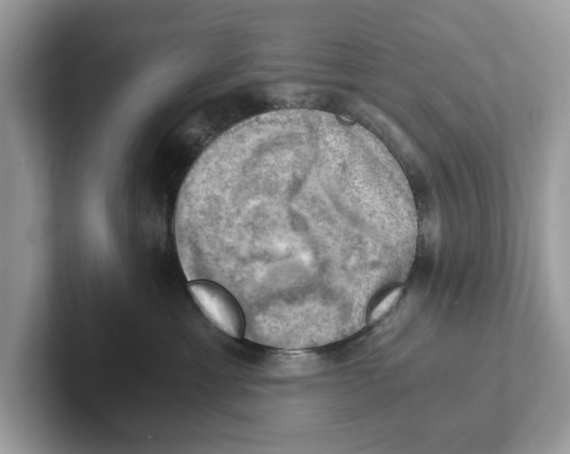 X0000100930429200807221141