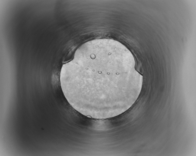 X0000100930432200807221141