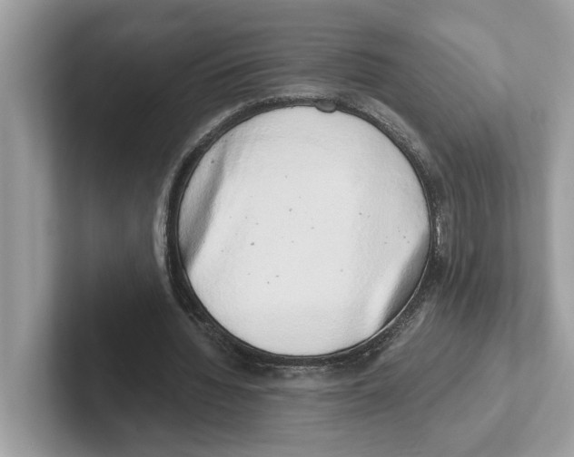 X0000100930436200807221140