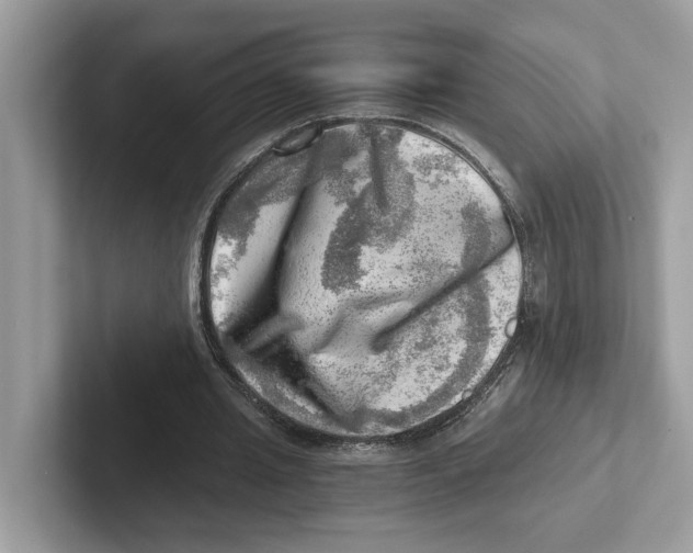 X0000100930437200807221140