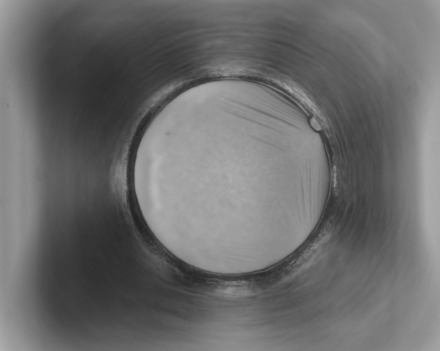 X0000100930438200807221140