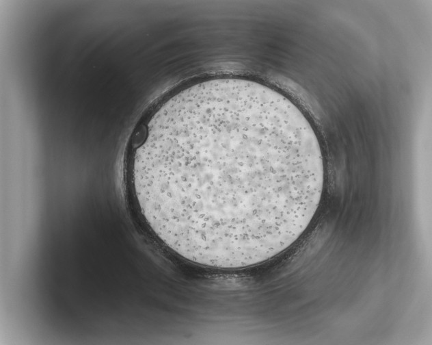 X0000100930439200807221140
