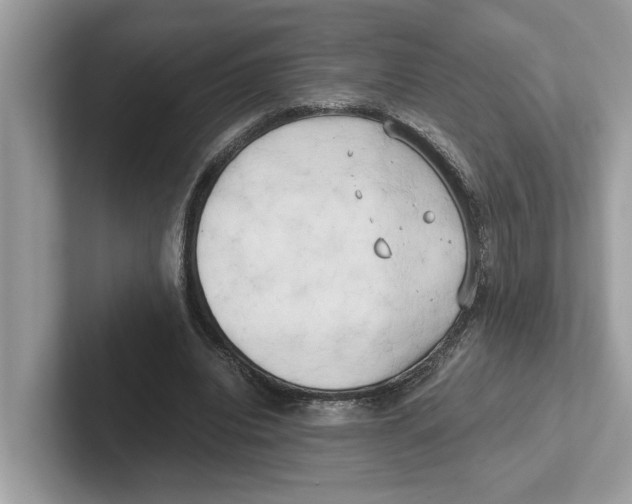 X0000100930440200807221140