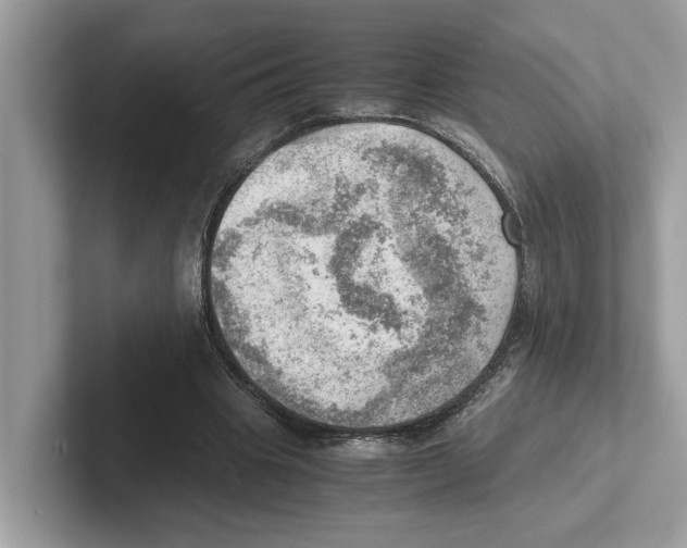 X0000100930441200807221140