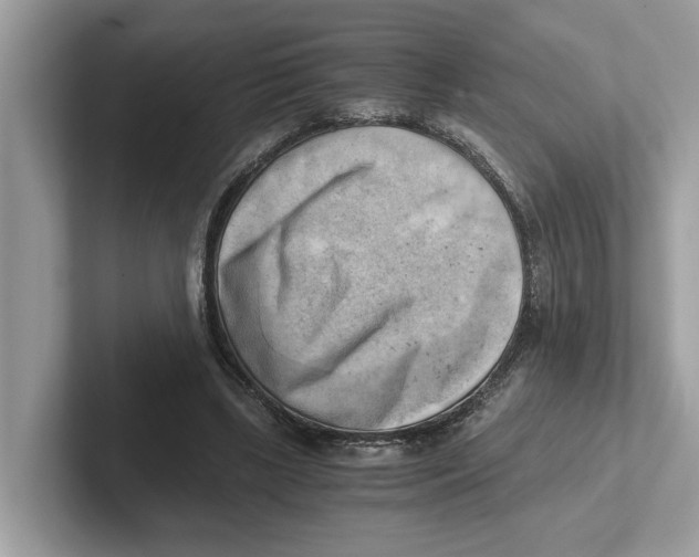 X0000100930443200807221140