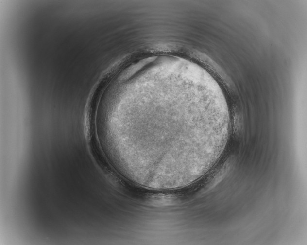 X0000100930444200807221140