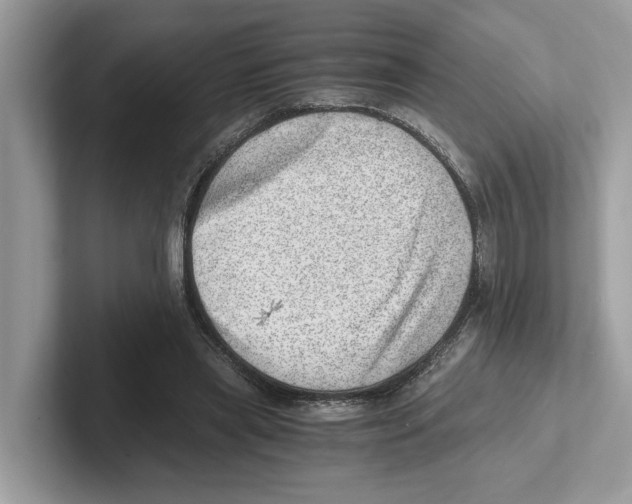 X0000100930445200807221140