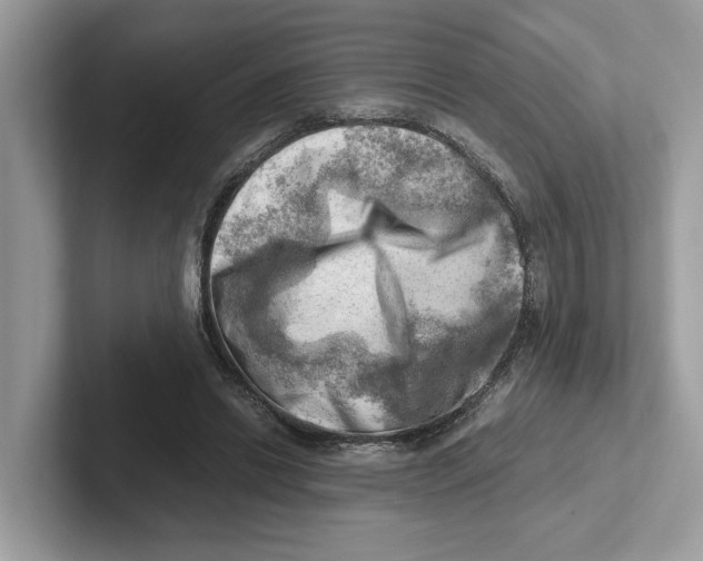 X0000100930446200807221140