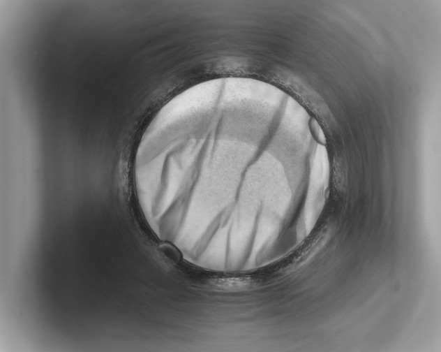 X0000100930449200807221140