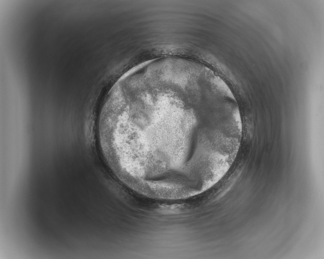 X0000100930450200807221140