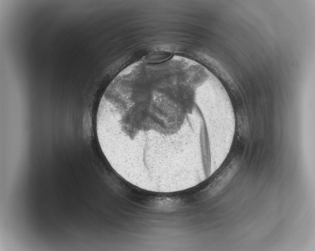 X0000100930453200807221140