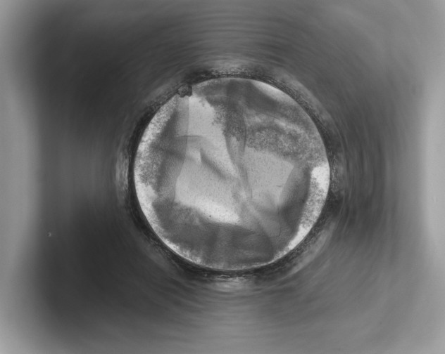 X0000100930454200807221140