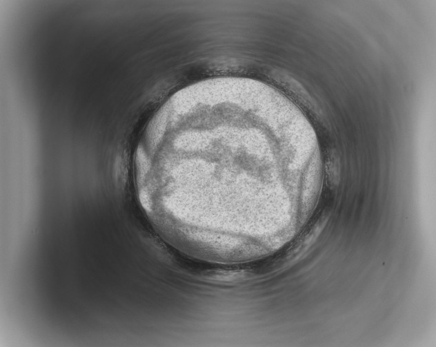 X0000100930458200807221140