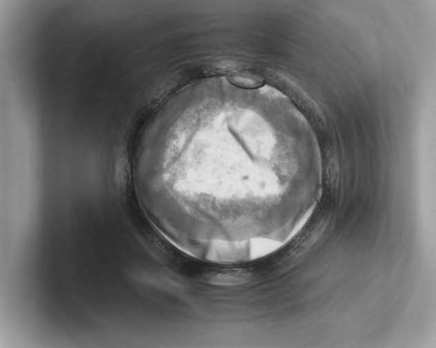 X0000100930459200807221141