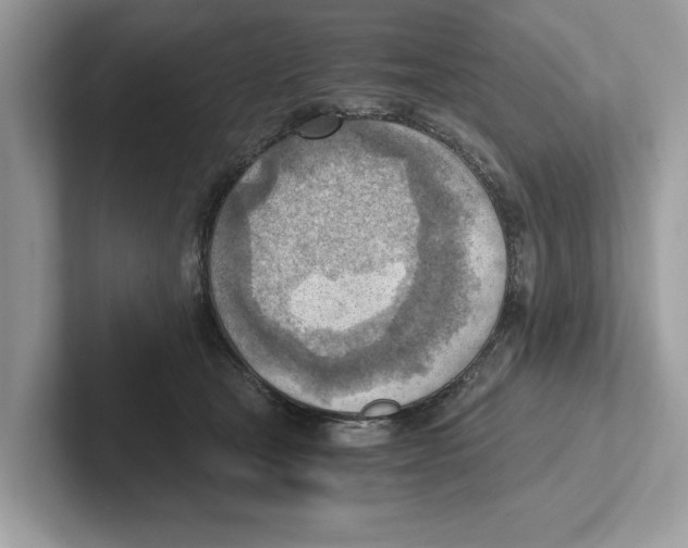 X0000100930465200807221141