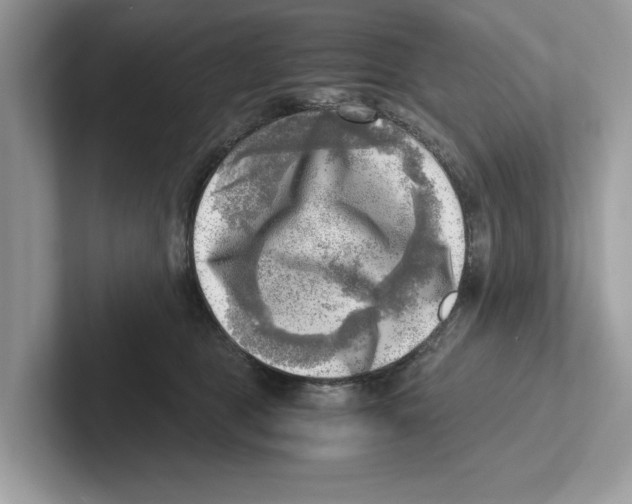 X0000100930469200807221141