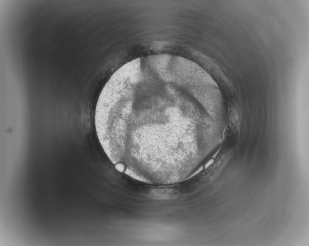 X0000100930470200807221141