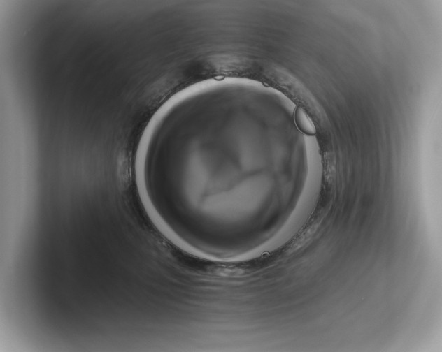 X0000100930471200807221141