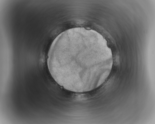 X0000100930472200807221141