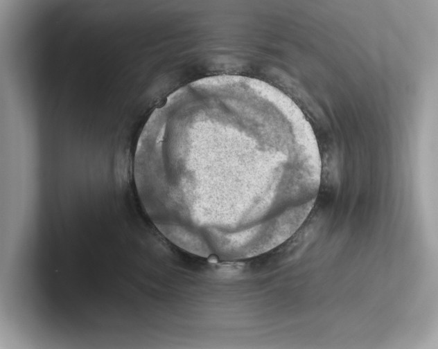 X0000100930474200807221141