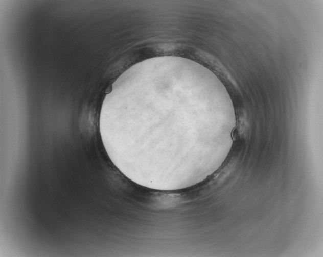 X0000100930476200807221141