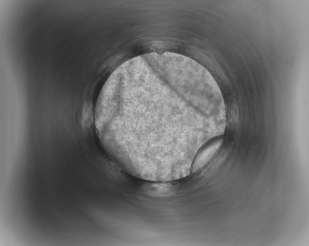 X0000100930478200807221141