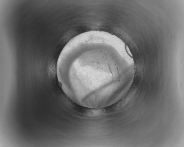 X0000100930479200807221141