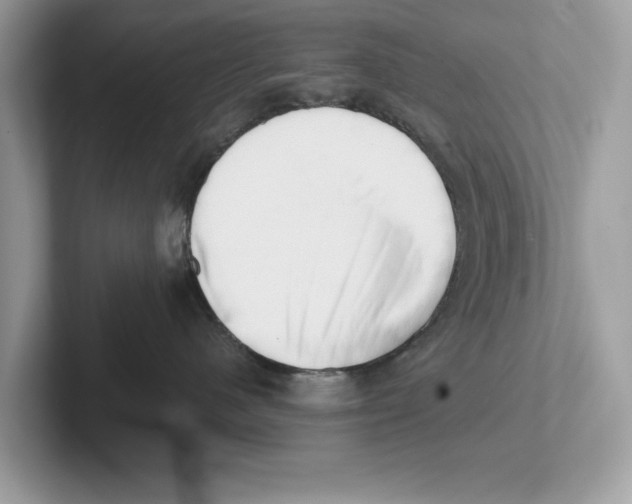 X0000100930480200807221141