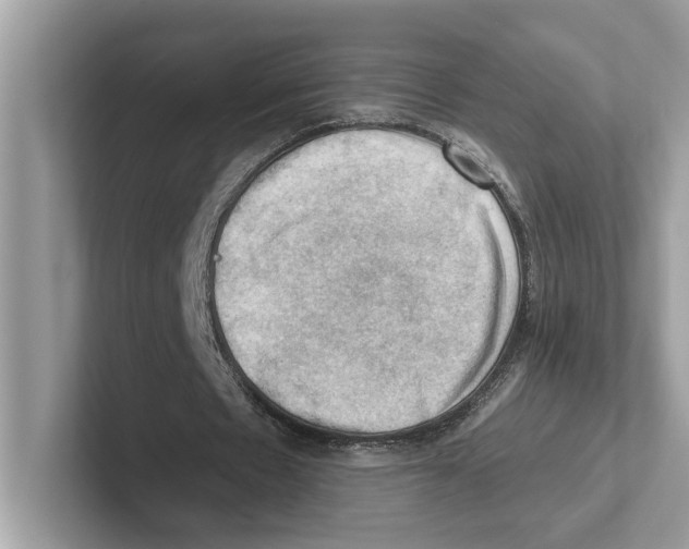 X0000100930481200807221140