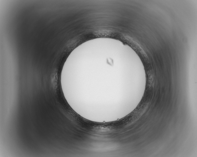 X0000100930498200807221140