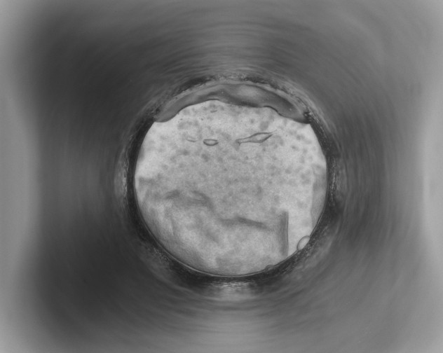 X0000100930501200807221140