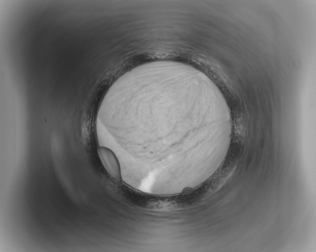 X0000100930503200807221140