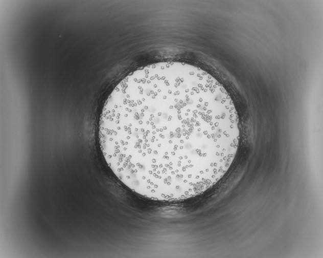 X0000100930505200807221140