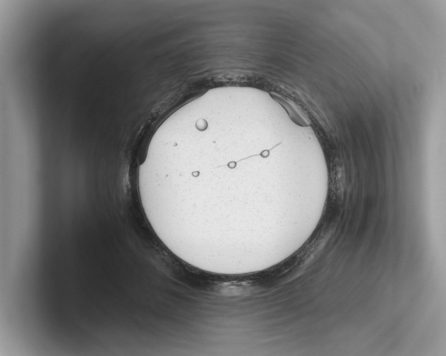 X0000100930508200807221140