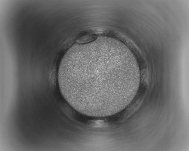 X0000100930509200807221140