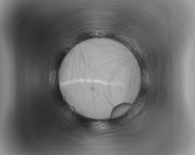 X0000100930511200807221140