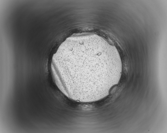 X0000100930512200807221140