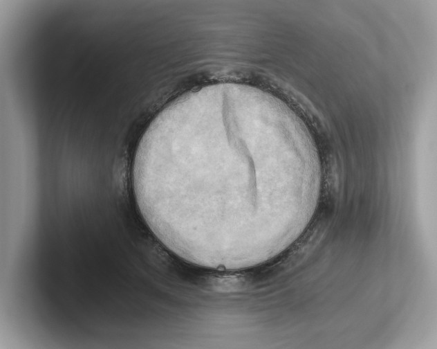 X0000100930513200807221140