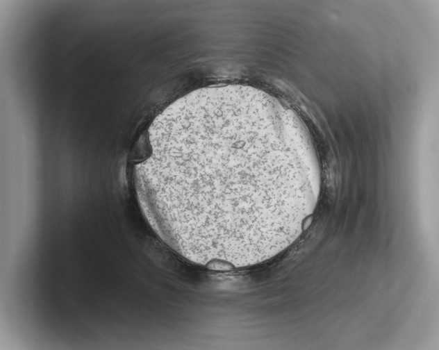 X0000100930516200807221140