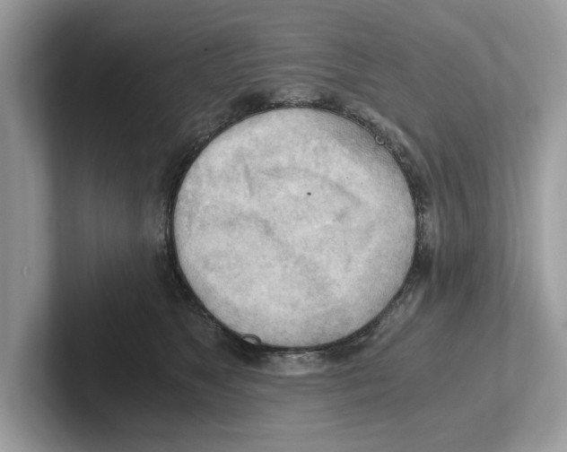 X0000100930517200807221140