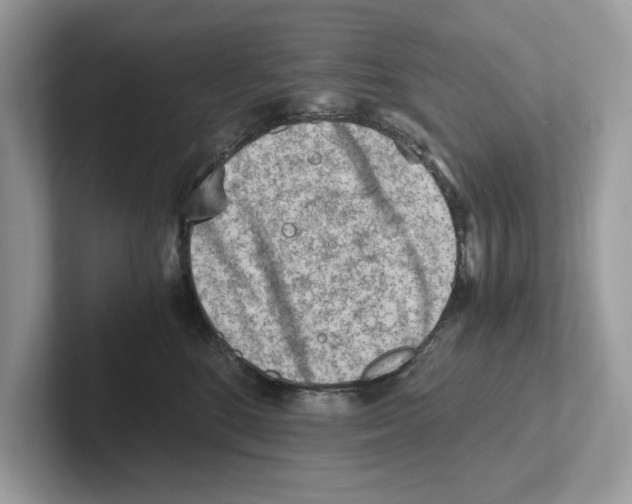 X0000100930520200807221140