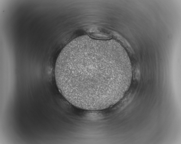 X0000100930521200807221140