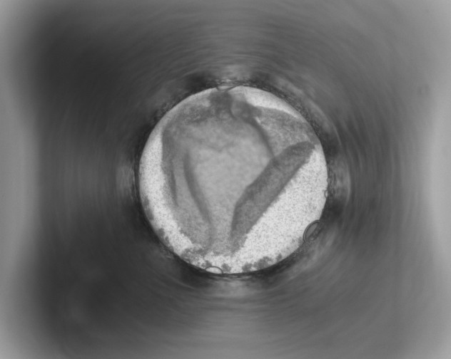 X0000100930523200807221140